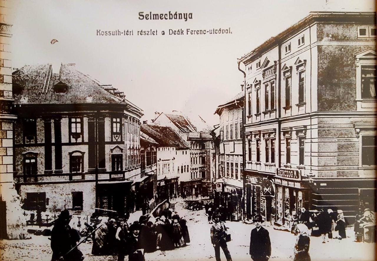Penzion Rozalia Banska Stiavnica Bagian luar foto